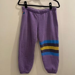 Aviator Nation cropped sweatpants.  Size small. Super soft.